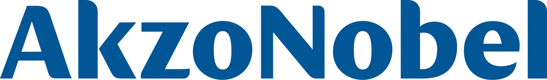 AkzoNobel client logo